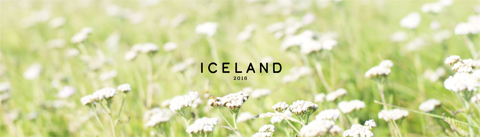 ICELAND 2016