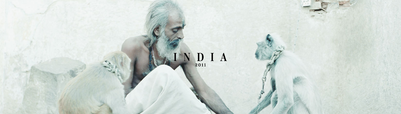 INDIA 2011